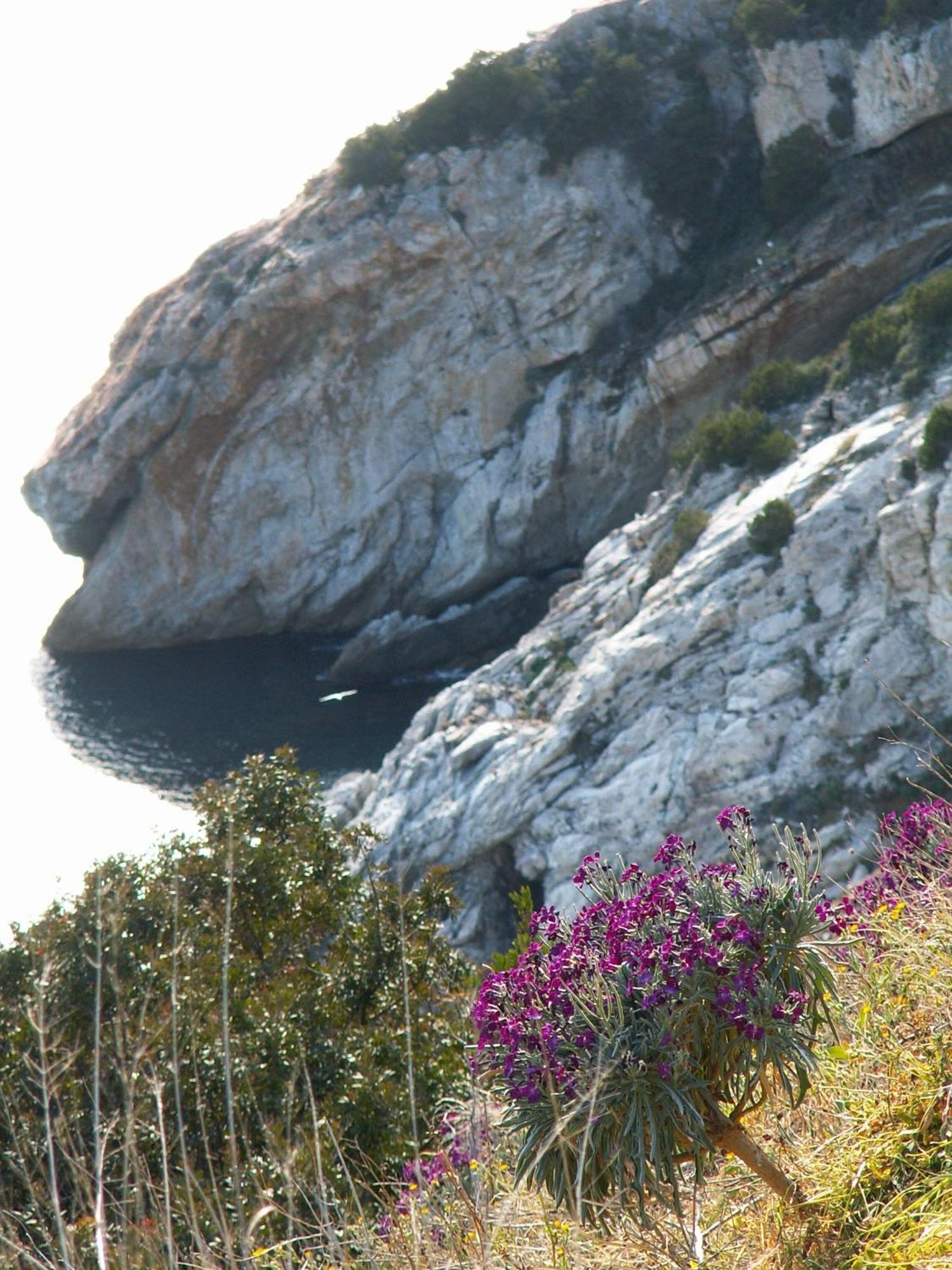 Hotel Santa Caterina Marina di Campo Exteriér fotografie